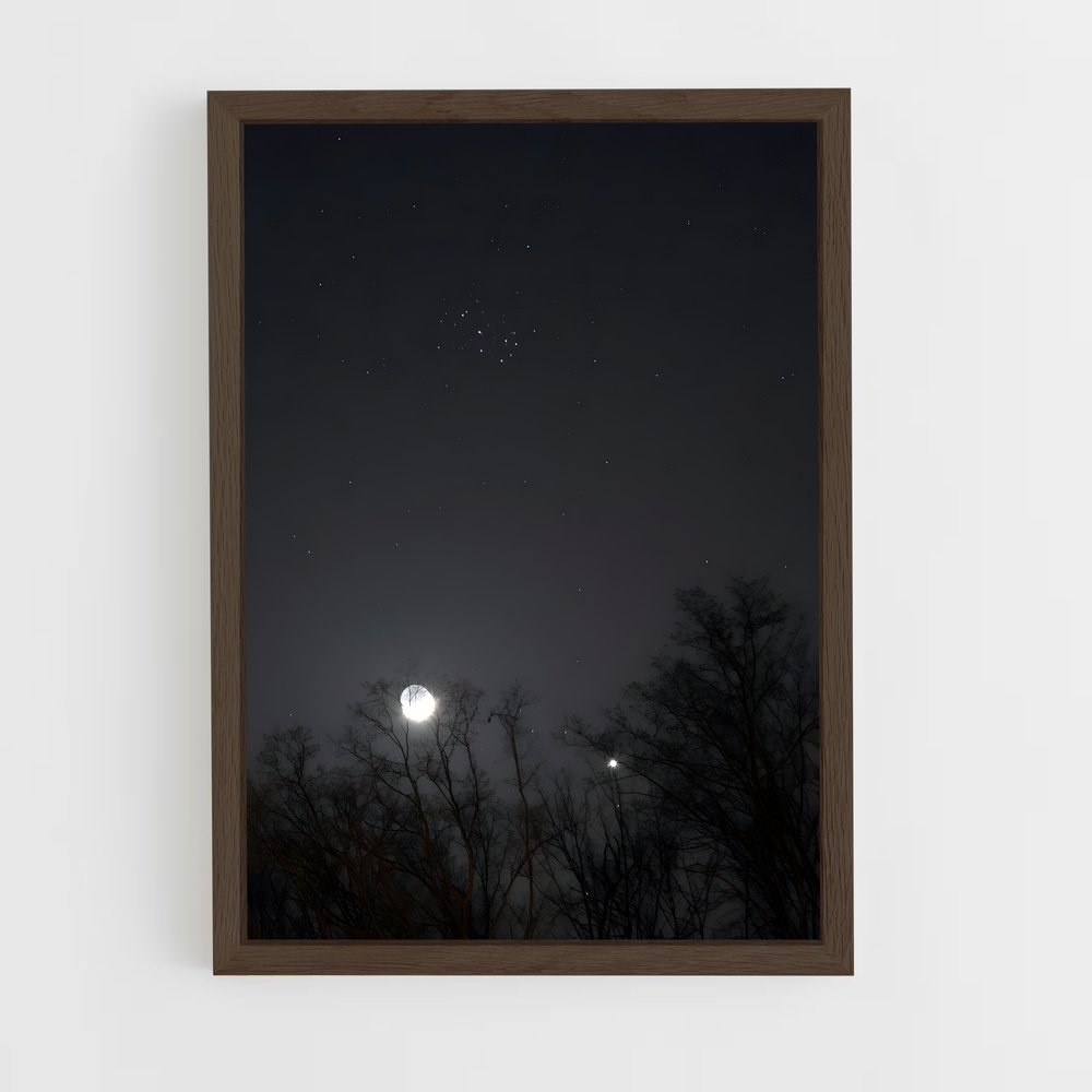 Poster Petite Ourse Étoilée – affiche Constellations (vue 5)